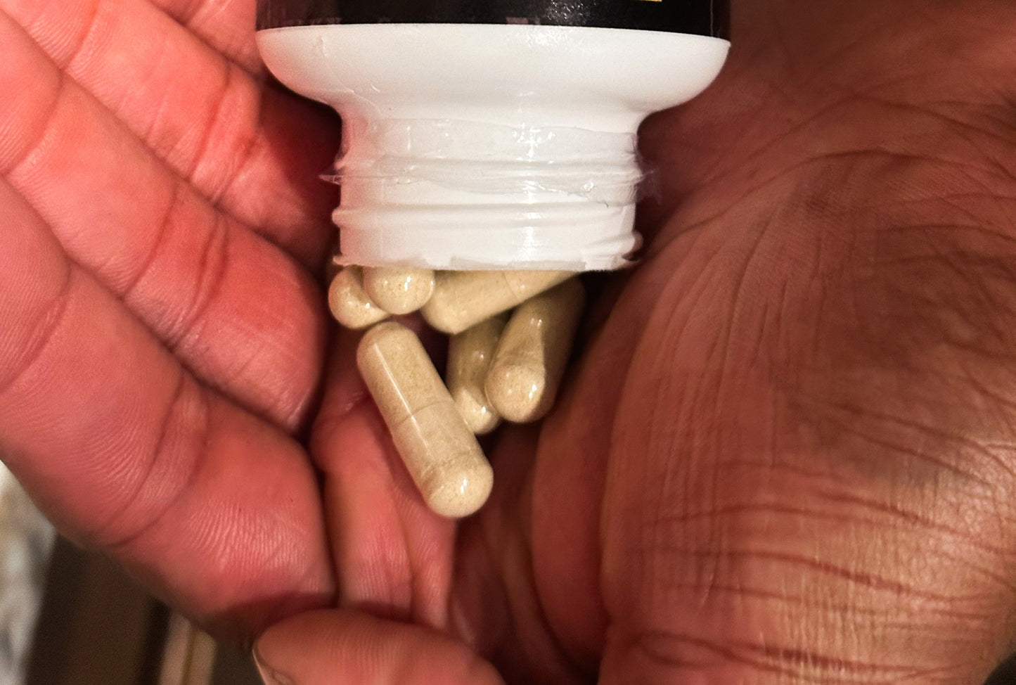 BullyFIT Ashwagandha Pills W/Black Pepper |Brain Fog| Stress Relief |Organic | Cruelty Free| Eco Friendly|Vegan Friendly| Full Body Wellness| 3rd party tested|