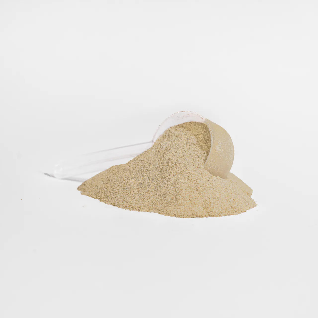 protein powder, whey protein, multivitamins, creatine, BCAAs, pre-workout supplements, omega-3, probiotics, collagen, ashwagandha, turmeric, superfoods, vitamin D, magnesium, fat burners, immune support, green tea extract, adaptogens, muscle recovery, weight loss